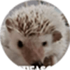 Eric P profile photo