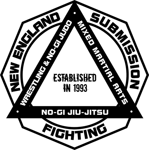 NESF Boston secondary logo.