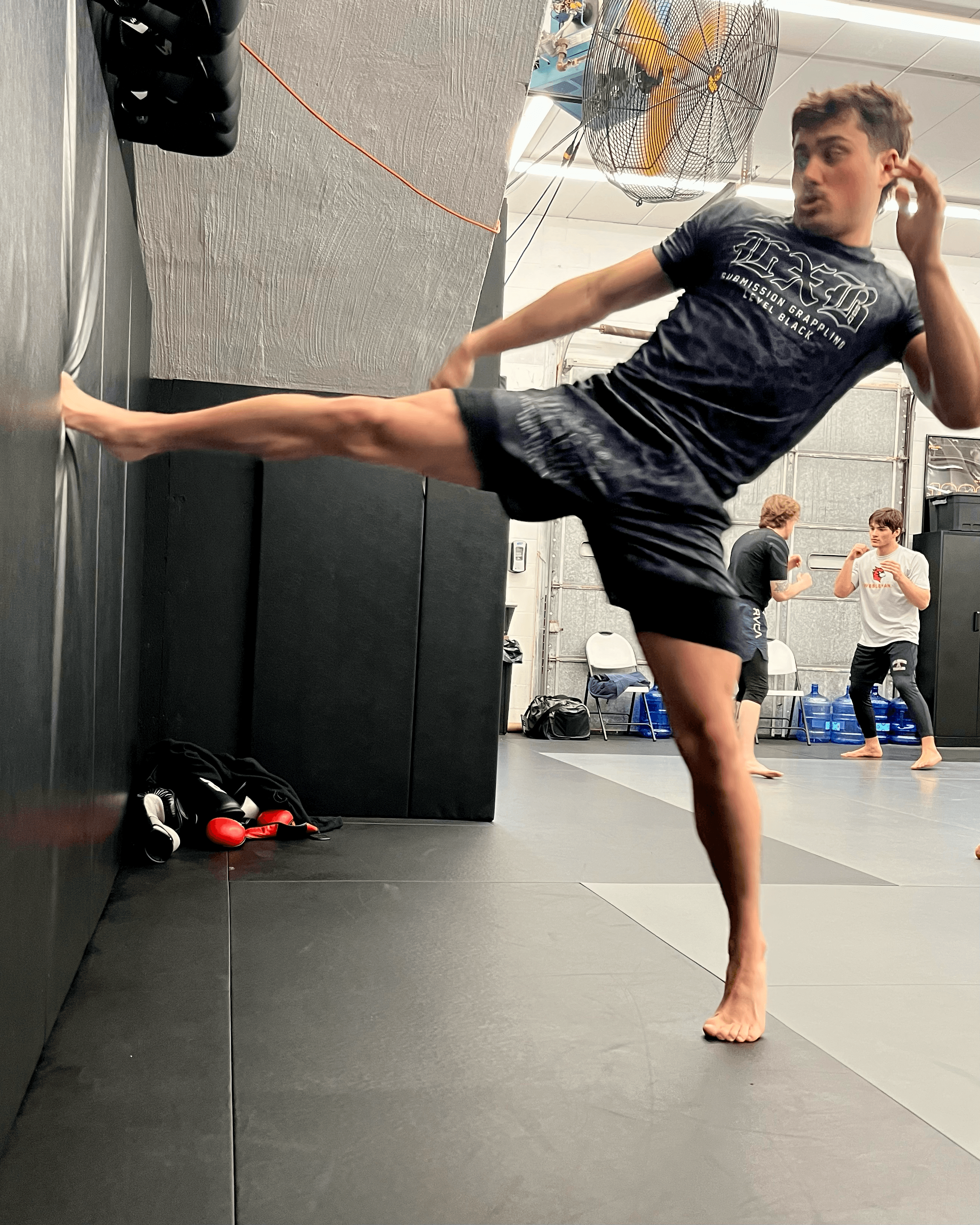 Student teep kicking a wall.